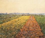 Gustave Caillebotte The Yellow Fields at Gennevilliers oil painting